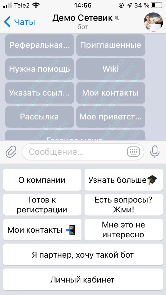 Экран Telegram-бота для сетевого маркетинга